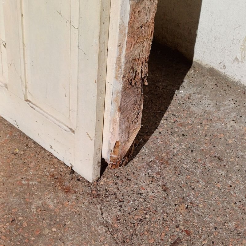 Puerta de tablero en cedro con vidrios estilo colonial y marco de pinotea - imagen 6