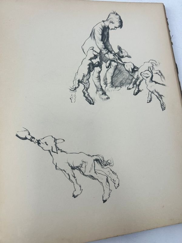 Libro ilustrado educativo sobre personajes destacados - imagen 6