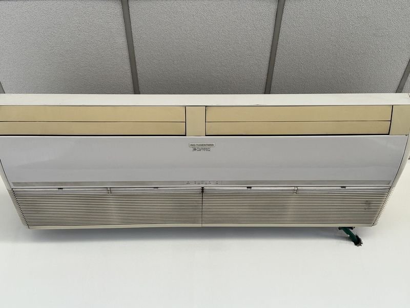 Lote anterior: Aire Acondicionado de Techo Tugentman - Electrodomésticos