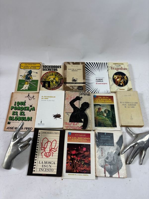 Colección de libros clásicos y fantásticos en español