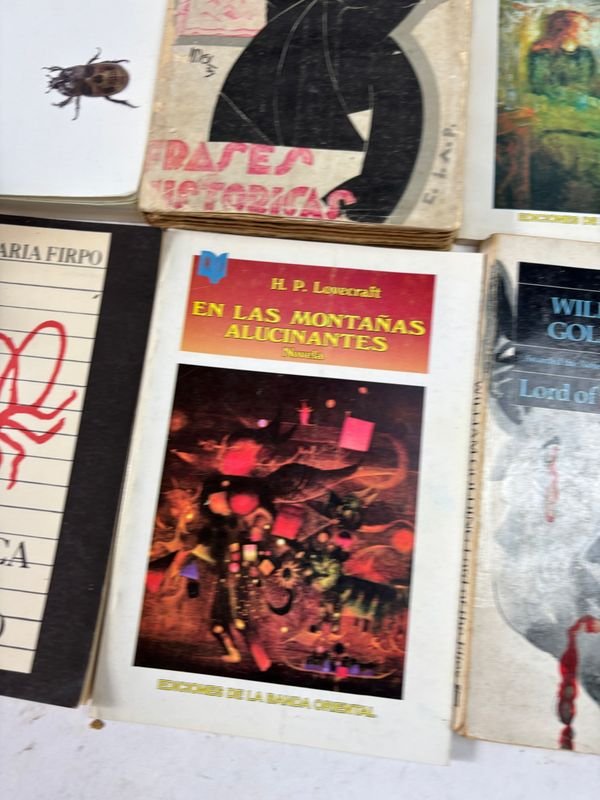 Colección de libros clásicos y fantásticos en español - imagen 10