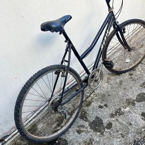 Bicicleta Marca "YGIN (Primo Zuccotti Rodado 26 ) - imagen 3