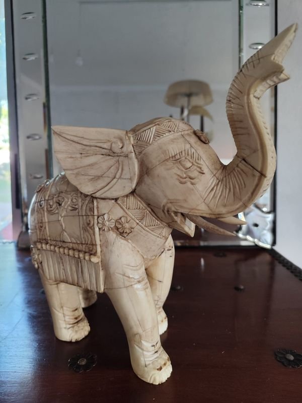 ELEFANTE INDU EN HUESO