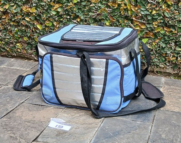 Bolso Térmico Mor con Cubos de Hielo Reutilizables - imagen 1