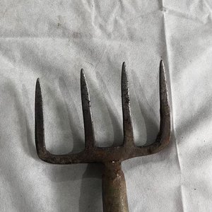 Lote anterior: Pala de Puntear y Asada de Jardín
