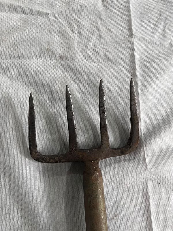 Pala de Puntear y Asada de Jardín