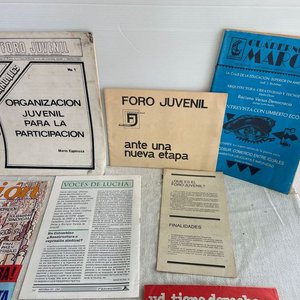 AEBU, FORO JUVENILMARCHA, FRENTE AMPLIO, LUCHA - imagen 4