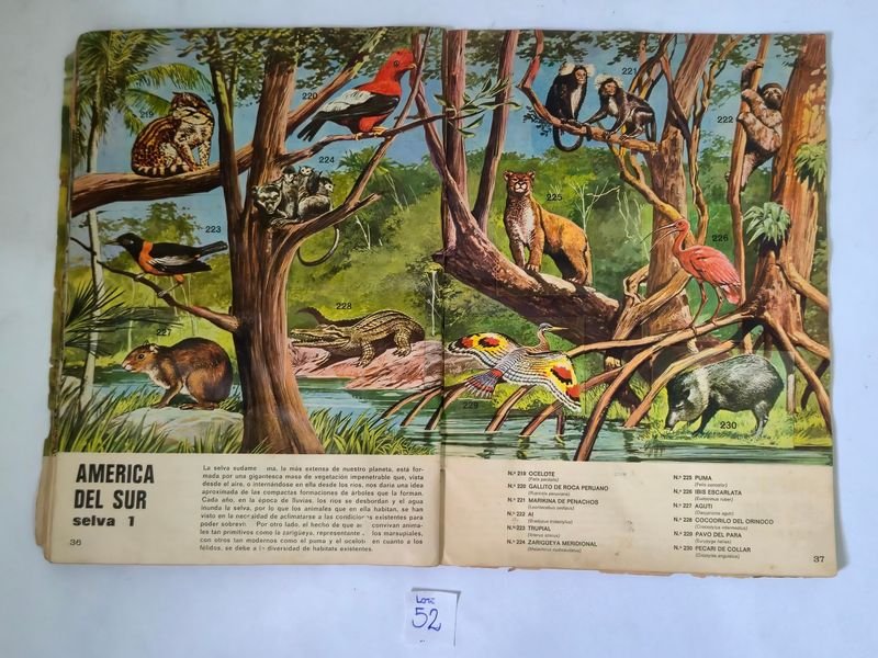 Item 844753 - Image 24