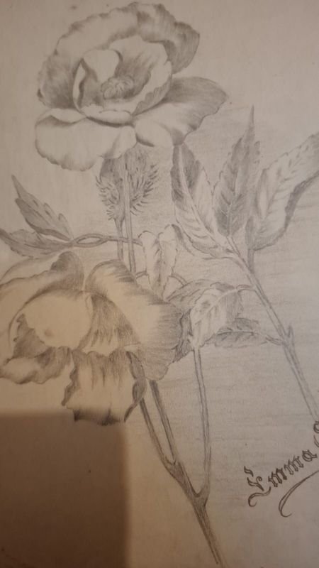 Item 856346 - Image 3