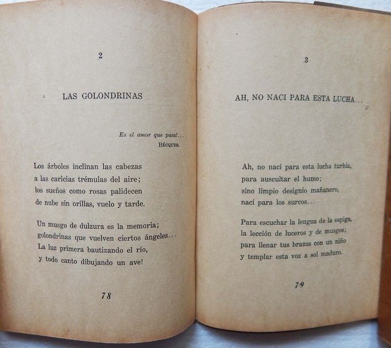 Libro de poesías de Uruguay González Poggi - imagen 6