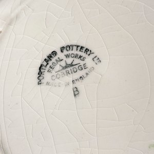 Nueve Platos Hondos de Loza Inglesa Portland Pottery - imagen 5