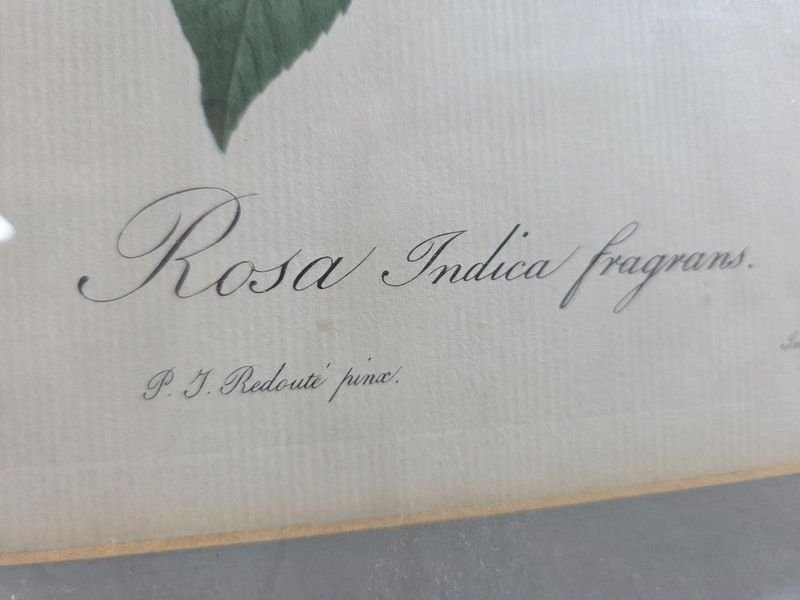 Item 829950 - Image 2