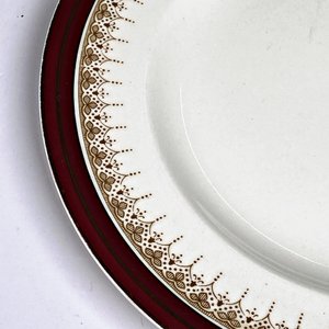 Doce Platos de Loza Inglesa Alfred Meakin "Kindel" - imagen 5