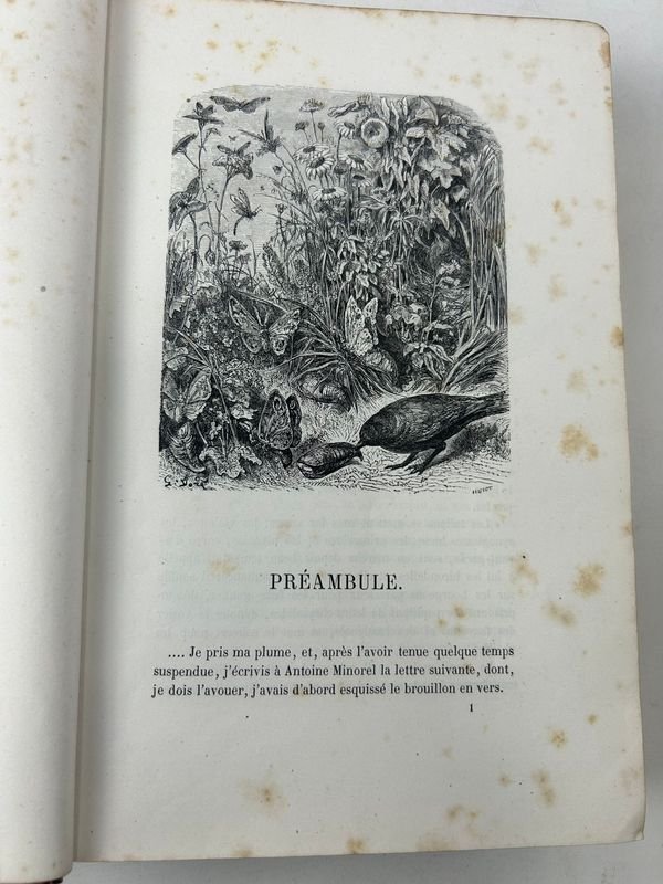 Libro educativo ilustrado de París a Marly-le-Roi - imagen 3