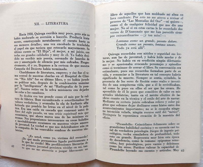 Libro de ensayo sobre la correspondencia entre Horacio Quiroga y Martínez Estrada - imagen 5