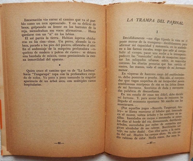 Libro de Cuentos y Novelas: La Trampa Del Pajonal - imagen 5
