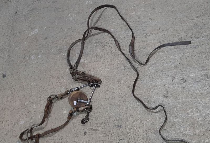 Cadena, cinturón y cable en acero inoxidable - imagen 2
