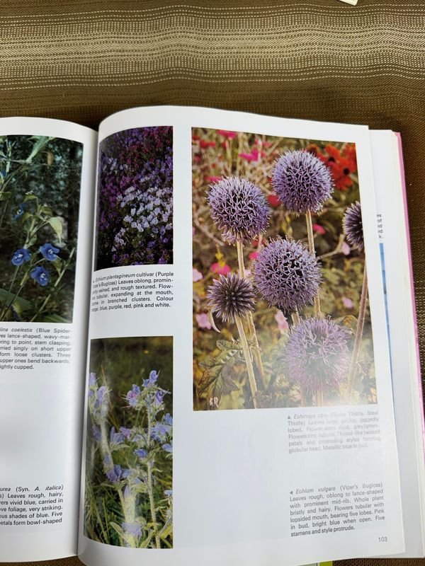 Gran lote de libros sobre jardinería en inglés - imagen 12