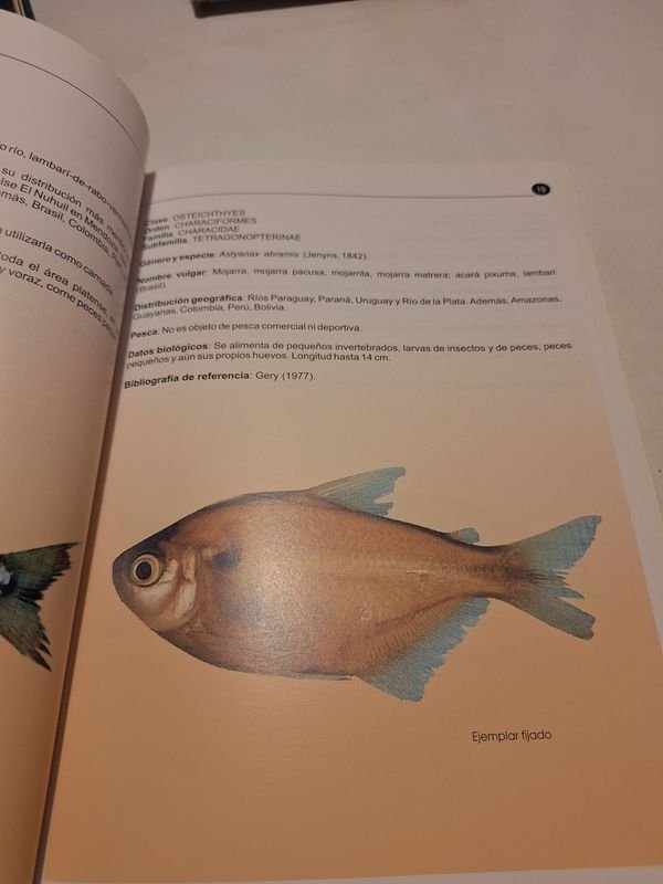 Item 870070 - Image 3