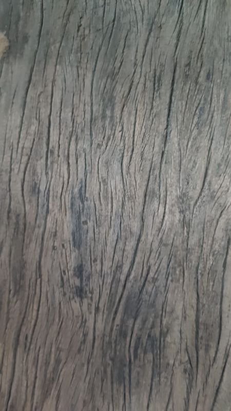 Item 880474 - Image 3