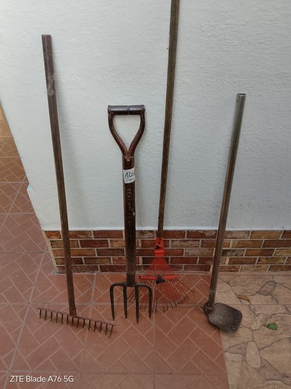 Item 889938 - Image 1