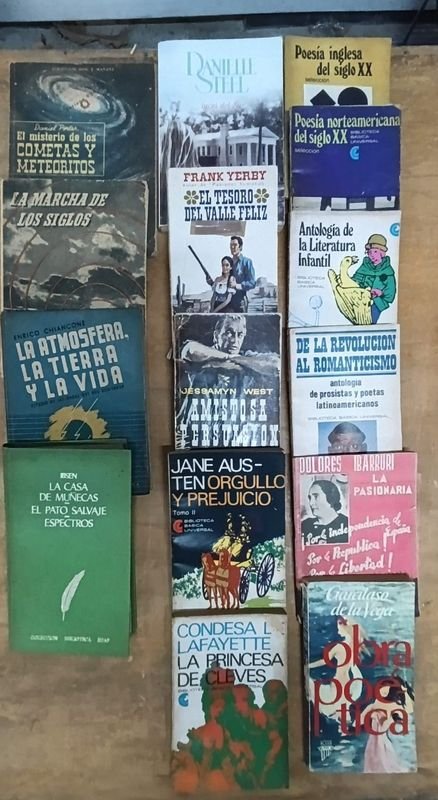 Lote de 15 Libros de Diversos Géneros Literarios - imagen 1