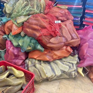 Lote de Hormas para Calzado - imagen 2