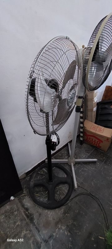 Item 900921 - Image 4