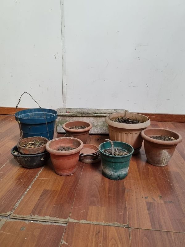 Macetas plásticas y cerámicas para jardinería - imagen 5