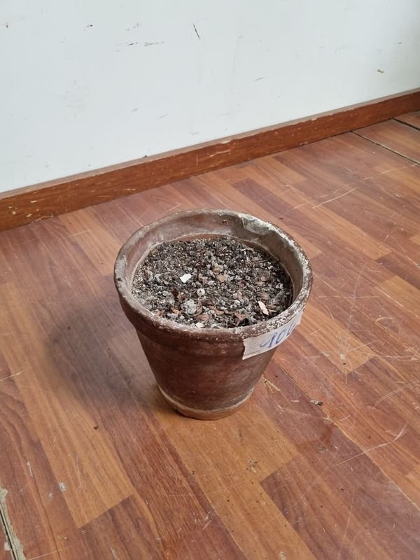 Maceta de barro en buen estado - imagen 2