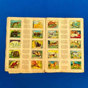 Álbum de Figuritas "Animales de Todo el Mundo" - Colección Fher - imagen 5