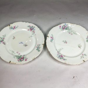 Dos Platos de Porcelana Francesa Limoges con Diseño Floral Blanco - imagen 1
