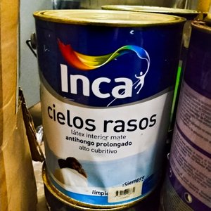 Lote de Pinturas Inca: 9 Latas de 4 Litros y 25 Latas de 250ml y 1 Litro - imagen 3
