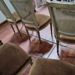 Juego de 6 Sillas Luis XV Estilo Francés con Respaldo Esterillado y Asiento de Pana Visón - imagen 3