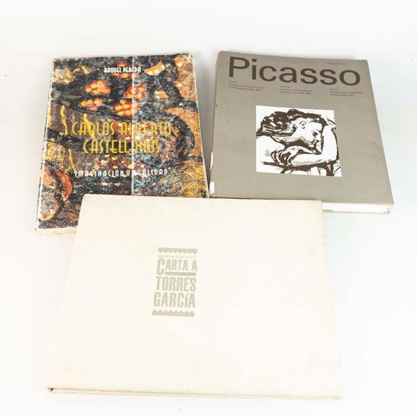 Lote de 3 Libros de Arte: Picasso, Cartas a Torres García y Raquel Pereda - imagen 1