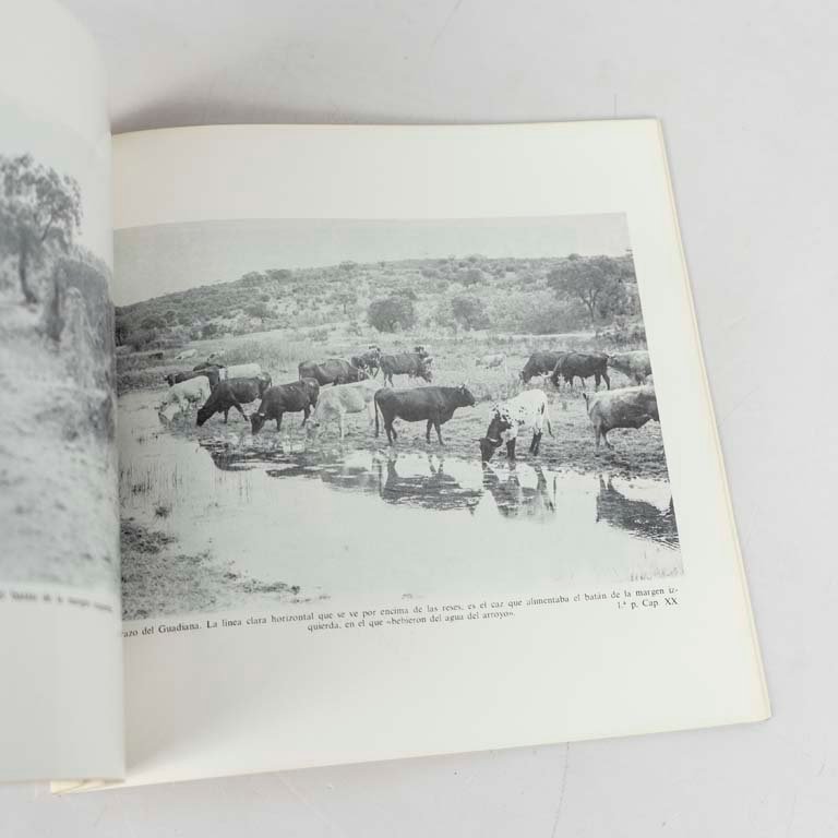 Item 2111864 - Image 1