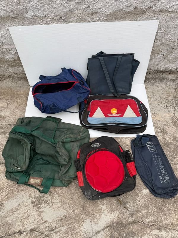 Lote de Bolsos y Mochilas Variados