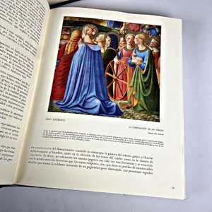 Dos Tomos "Historia de la Pintura" Editorial Vergara Barcelona - imagen 4