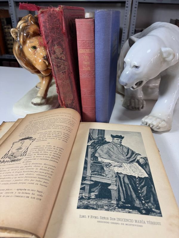 Item 879435 - Image 4