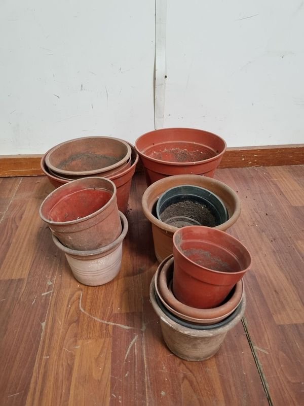 Item 865915 - Image 0