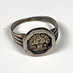 Conjunto de Cadena de Plata con Colgante Árbol de la Vida y Anillo a Juego - imagen 3