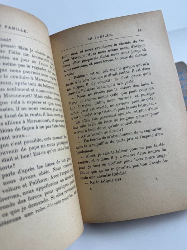 Libro clásico de Hector Malot - Par de tomos En familia - imagen 3