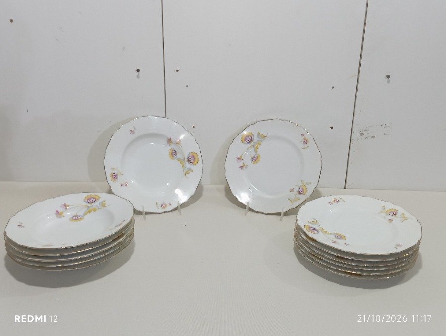 Lote de 16 Platos de Porcelana Alemana Hutschenreuther con Flores y Borde Dorado