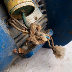 Soplador Eléctrico Monofásico Azul - Industria Uruguaya - imagen 5