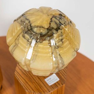 Par de Lámparas Art Decó con Base de Madera y Bronce - imagen 2
