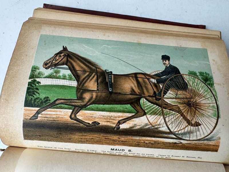 Libro ilustrado de ganado y enciclopedia de animales de granja - imagen 4