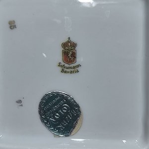 Dos Fuentes de Porcelana Bavaria con Bordes Dorados y Flores - imagen 4