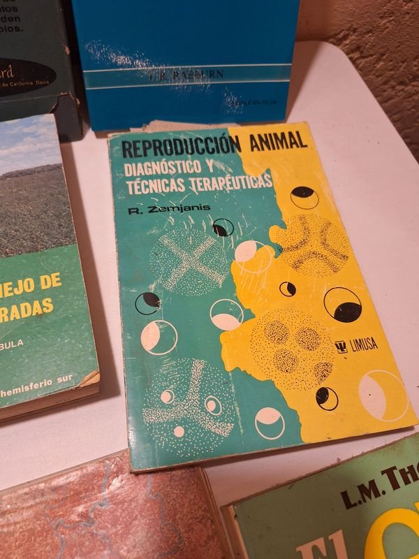 Item 870072 - Image 5