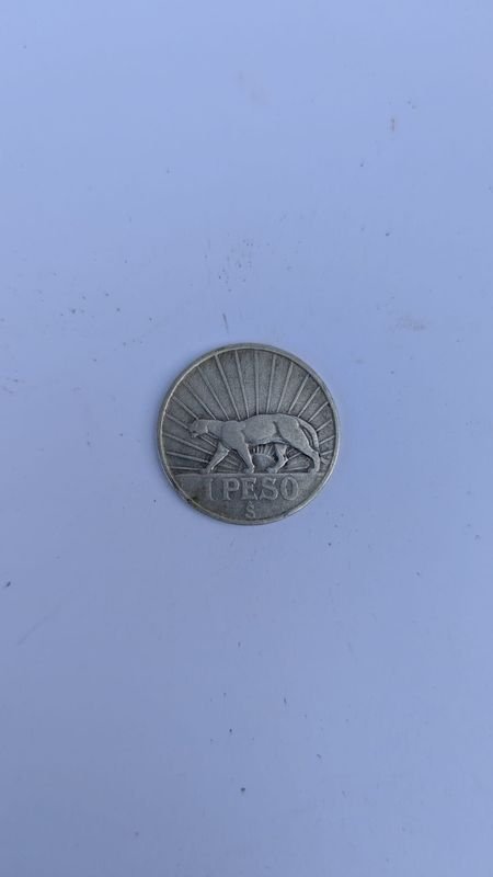 Item 883168 - Image 0