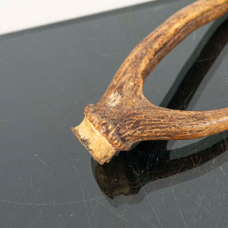 Item 2094040 - Image 2